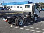 2025 Chevrolet Low Cab Forward 5500 XD 1WT